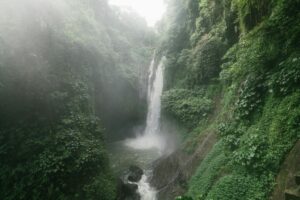 Essential Bali Travel Guide for First-Time Visitors and Solo Travelers