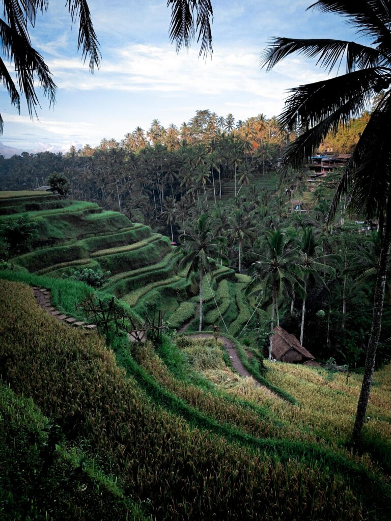 Ultimate Bali Travel Guide, Ubud, Indonesia Adventure