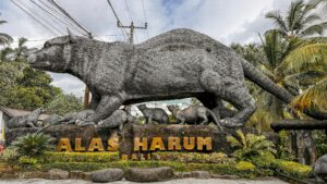 best time to visit Bali