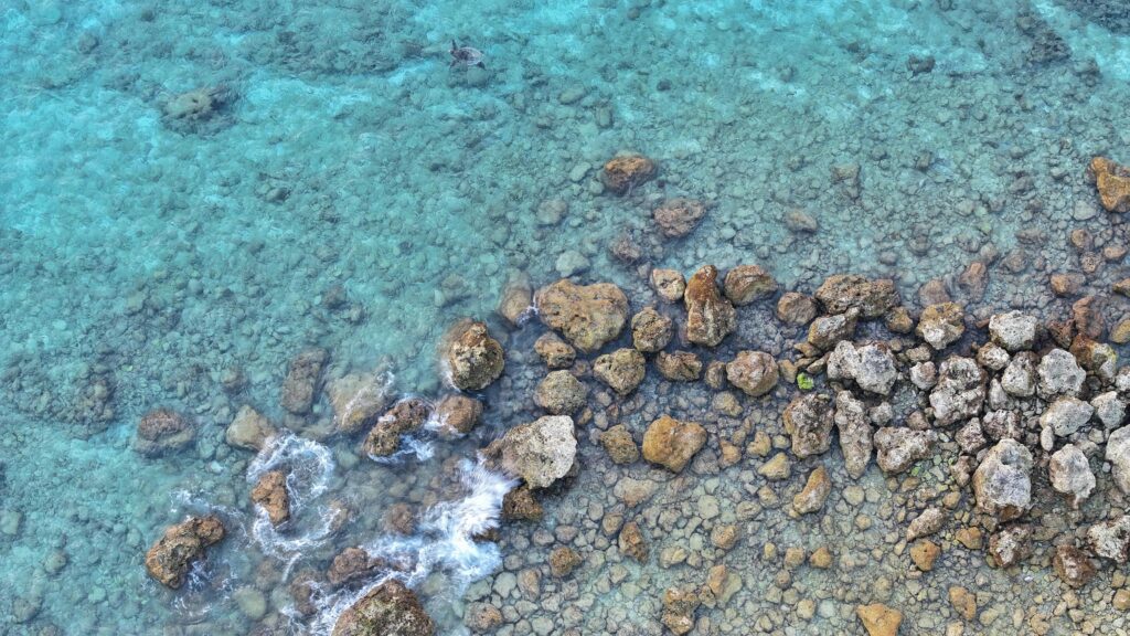 best diving resorts in south ari atoll