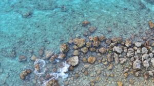 best diving resorts in south ari atoll