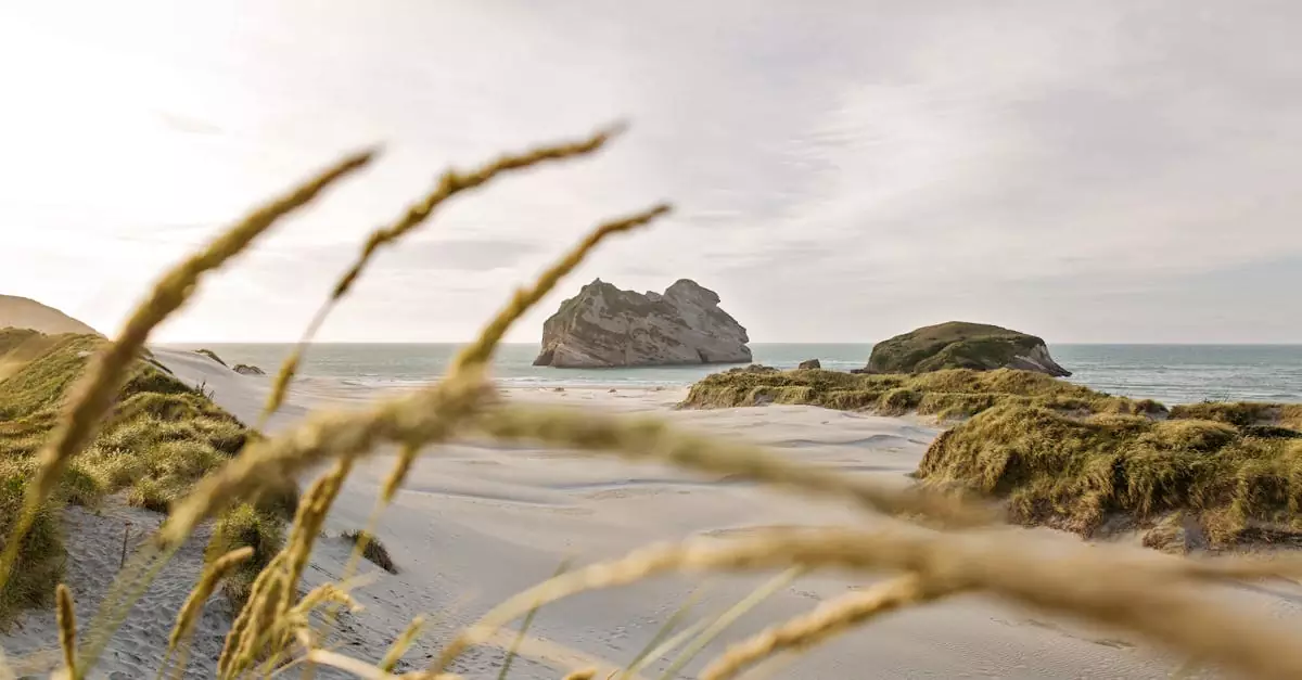 abel tasman kayak tour price