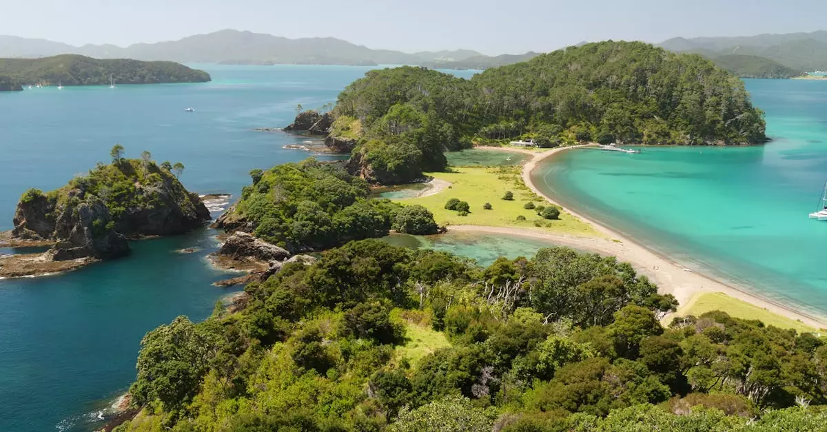 abel tasman kayak tour price