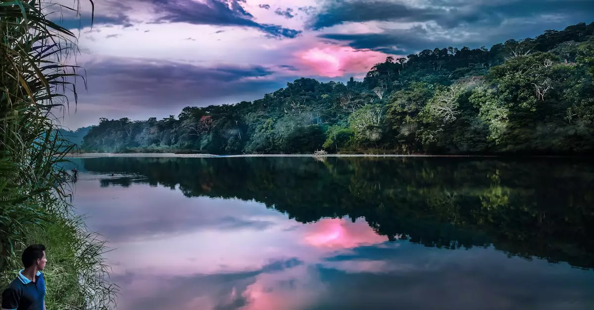 amazon canopy walk ecuador price