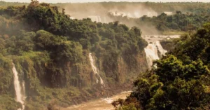 amazon jungle lodge brazil price 1236906