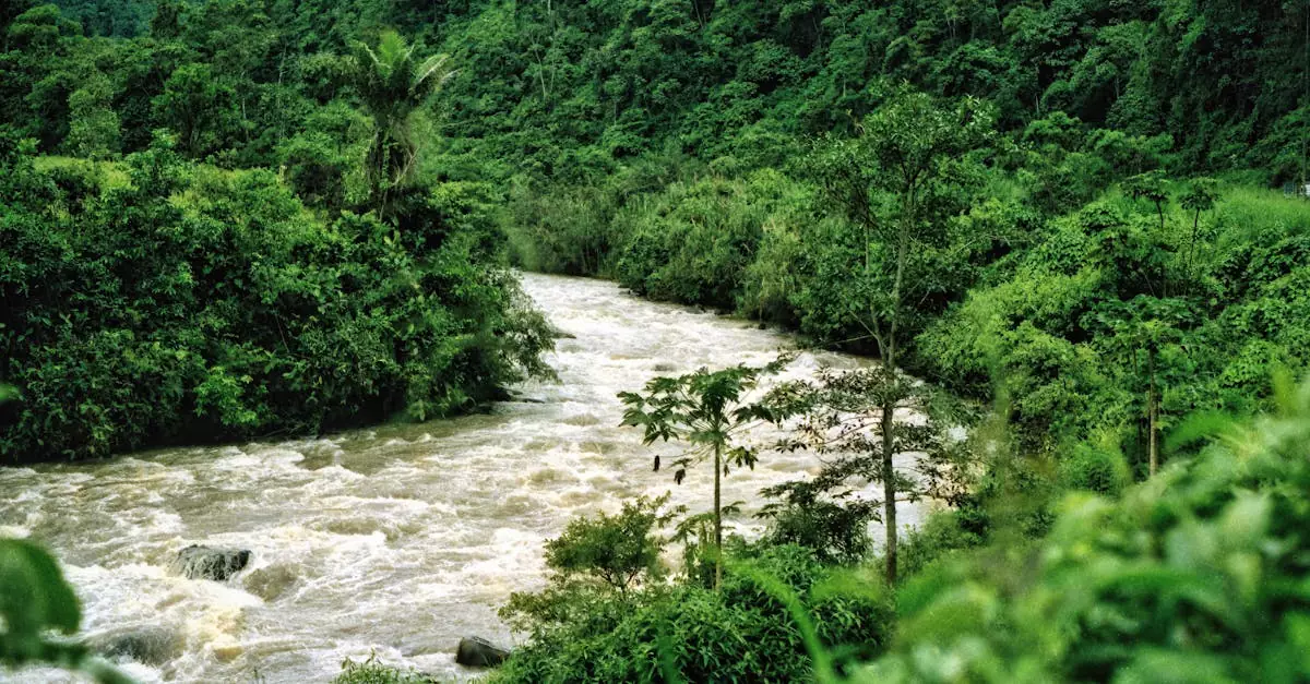 amazon jungle lodge ecuador price
