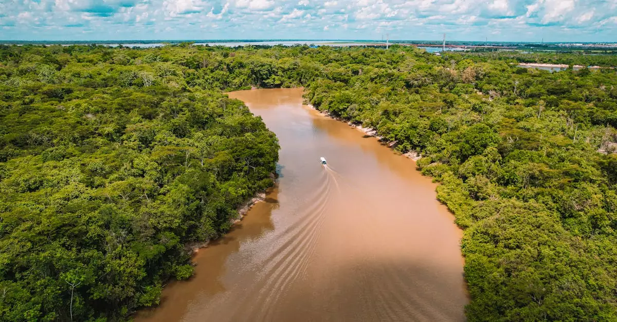 amazon jungle lodge peru price