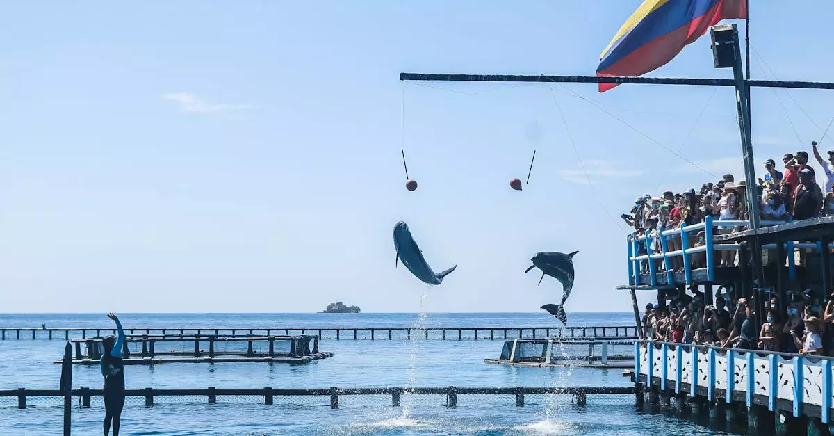 amazon pink dolphin tour colombia price