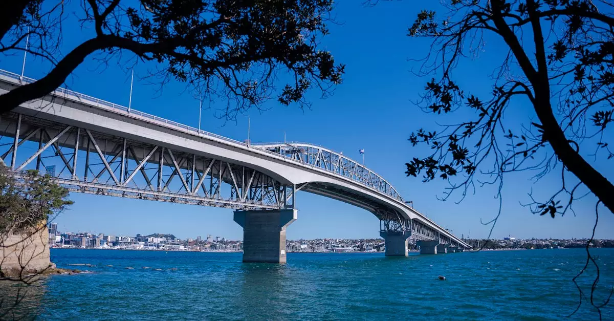 auckland harbour sailing tour price