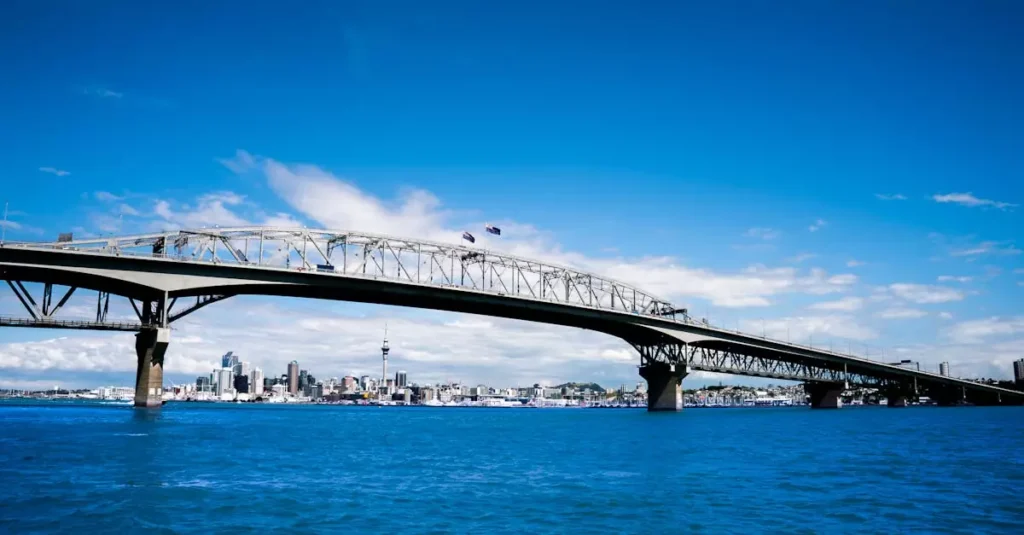 auckland harbour sailing tour price 6573506