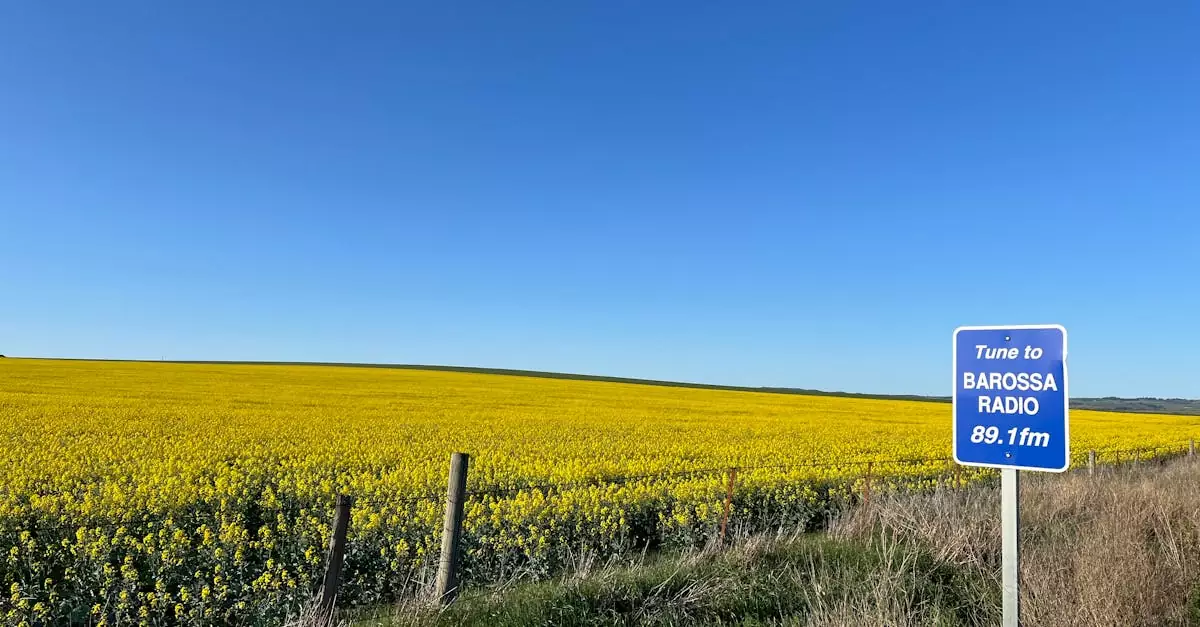 barossa valley wine tour price