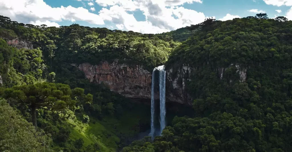 best time to visit amazon brazil 772481