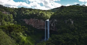 best time to visit amazon brazil 772481