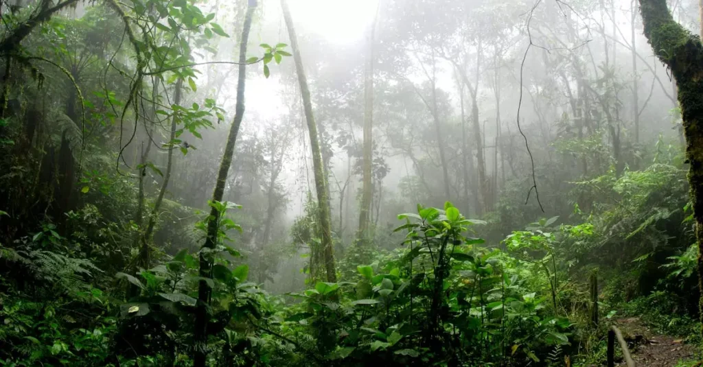 best time to visit amazon colombia 975771