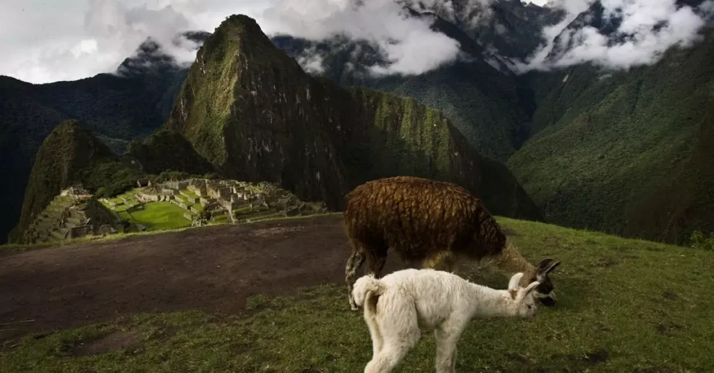 best time to visit amazon peru 10549837