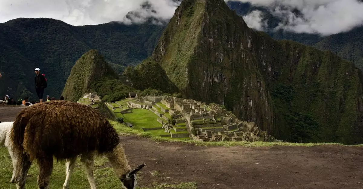 best time to visit amazon peru