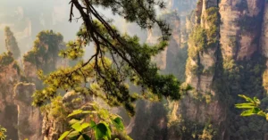best time to visit zhangjiajie 34683512