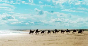 broome camel ride price 7027649