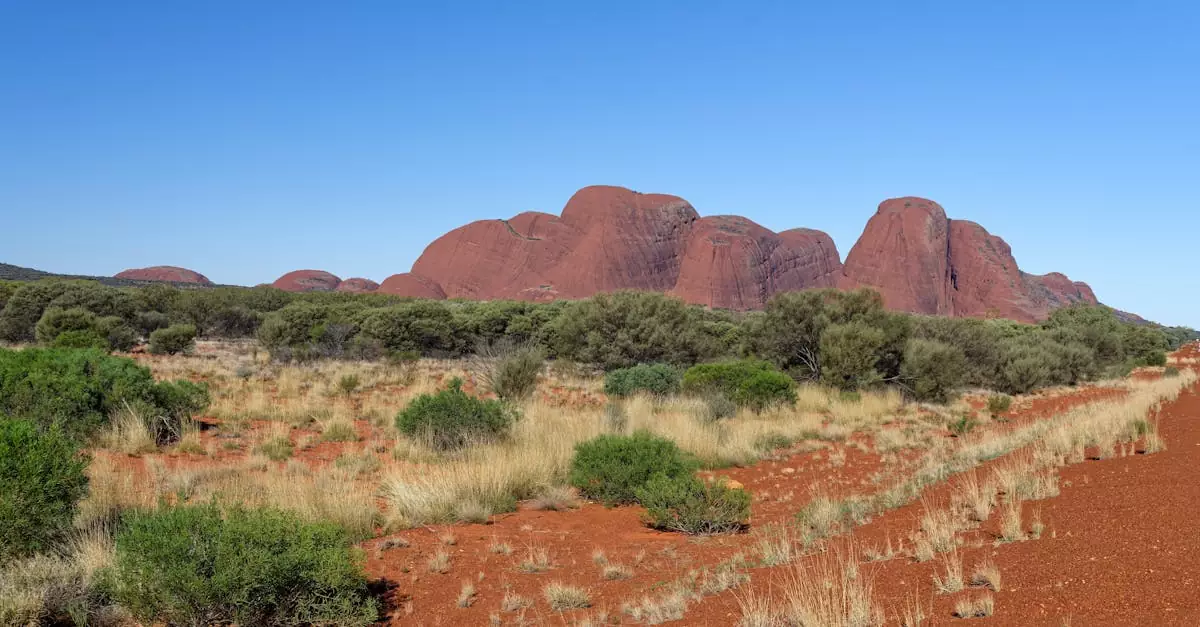 bungle bungles scenic flight price