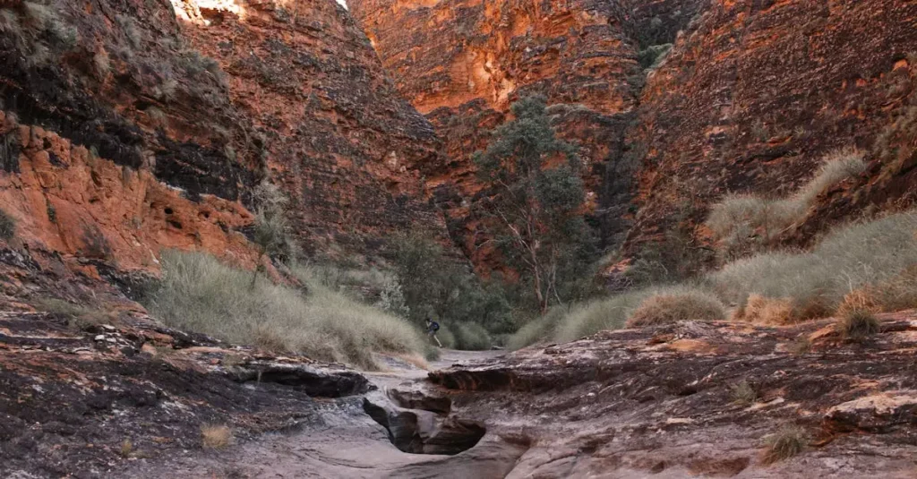bungle bungles scenic flight price 4993168