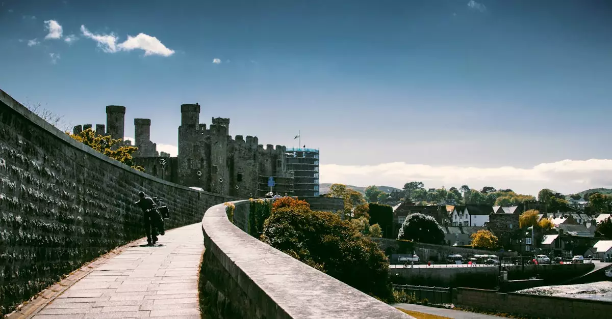 cardiff castle tickets price