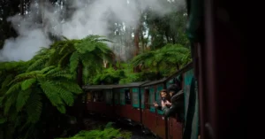 dandenong ranges puffing billy tickets price 1201179 4