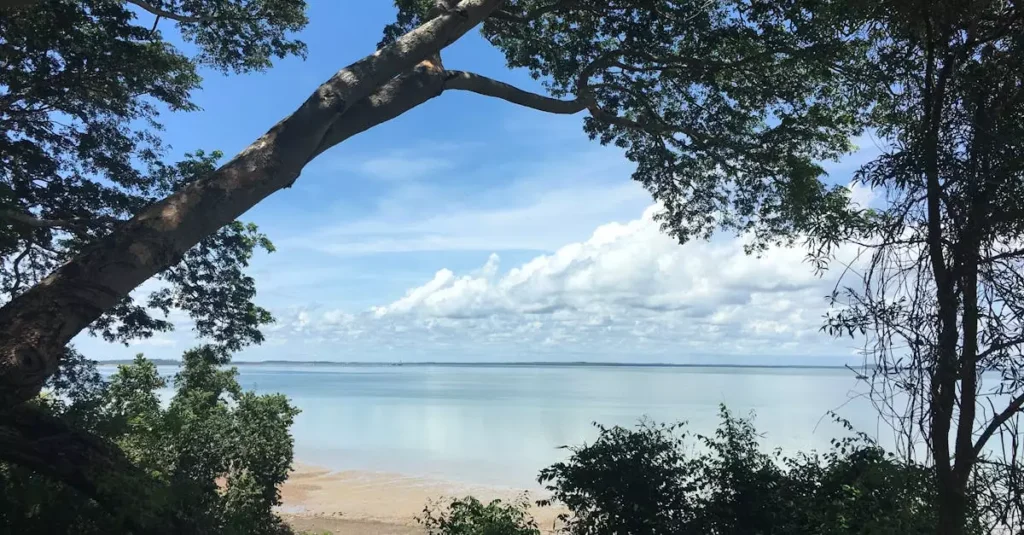 Litchfield National Park Tour Price Guide 14 darwin litchfield national park tour price 321180