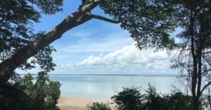darwin litchfield national park tour price 321180