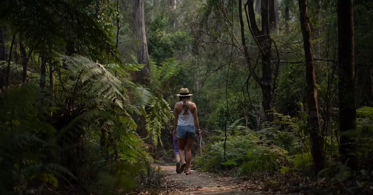 darwin litchfield national park tour price