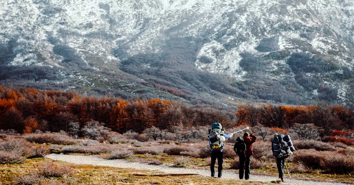 el chalten laguna de los tres hike tour price