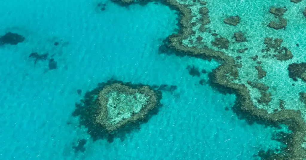 great barrier reef tour price 26447294
