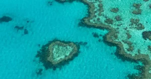 great barrier reef tour price 26447294