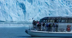 grey glacier boat tour price 9224588