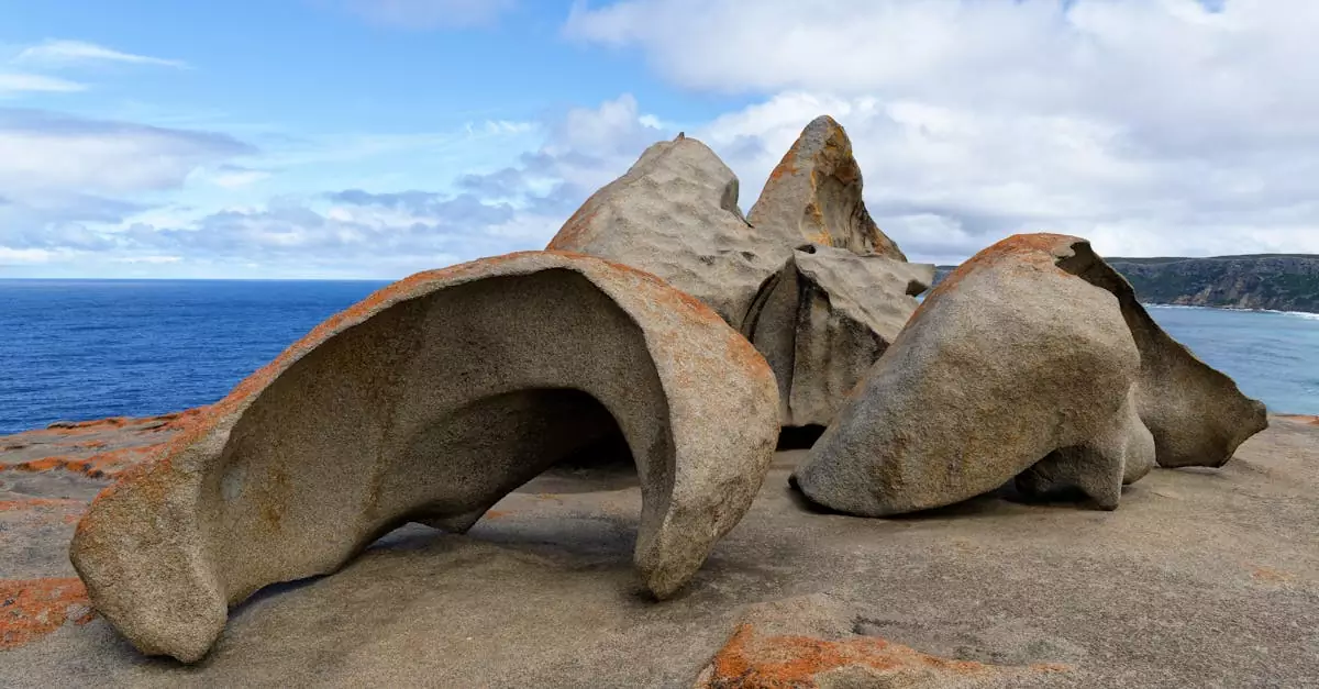 kangaroo island tour price