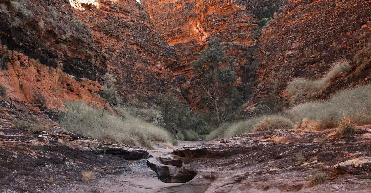 kimberley cruise price