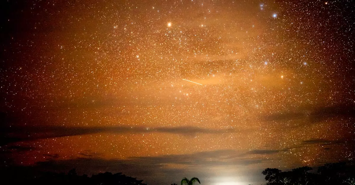 leticia amazon tour price