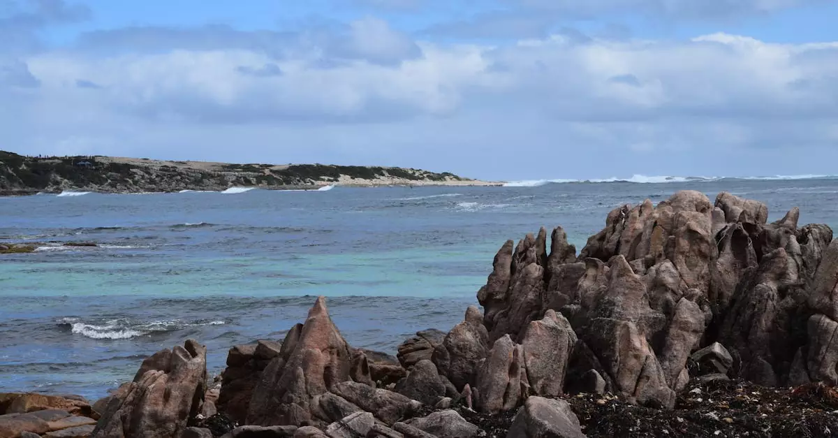 margaret river wine tour price