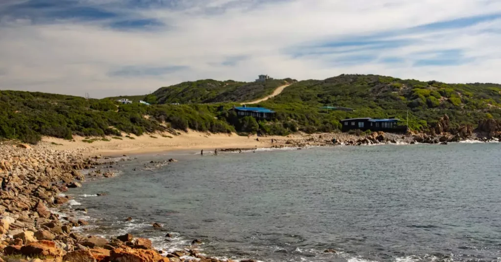 Margaret River Wine Tour Price Guide 2 margaret river wine tour price 7509092