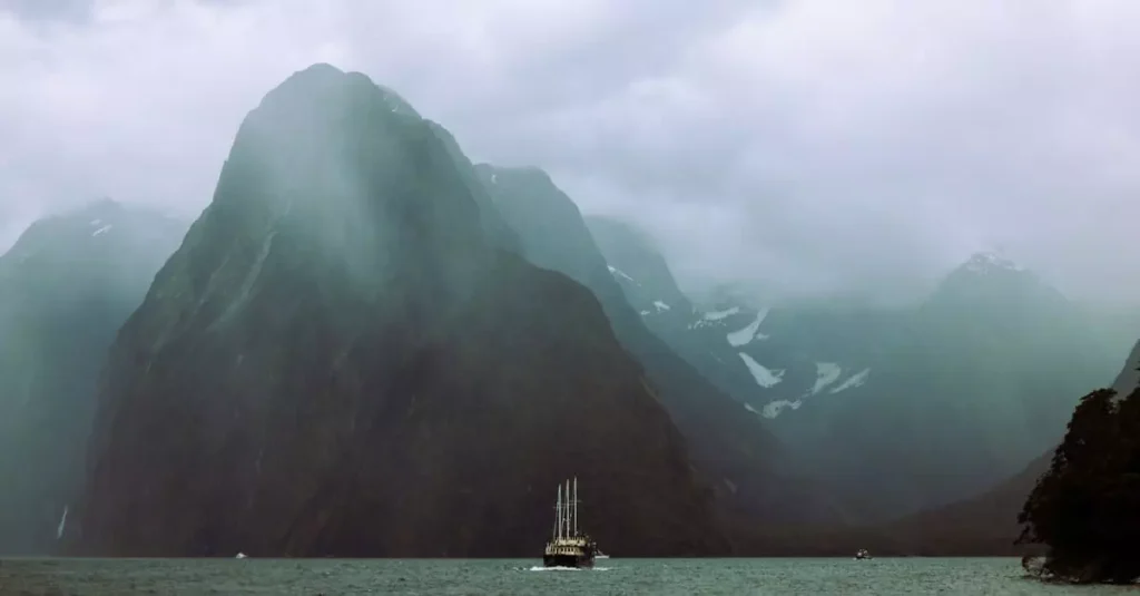 milford sound cruise price 36620444