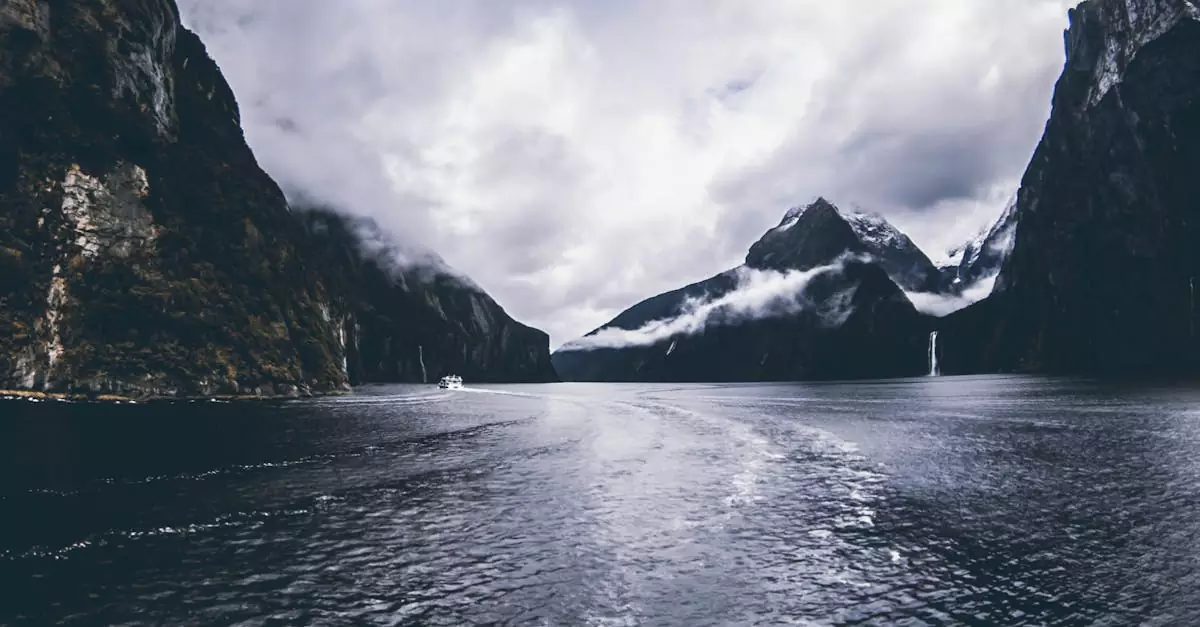 milford sound cruise price
