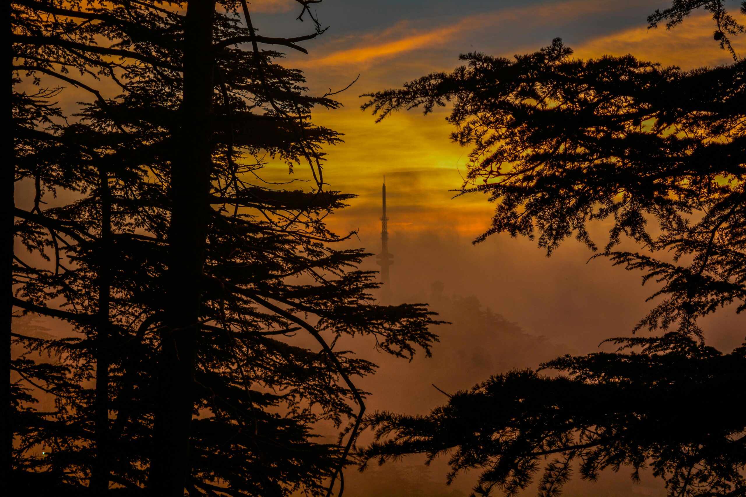 best hotels in shimla