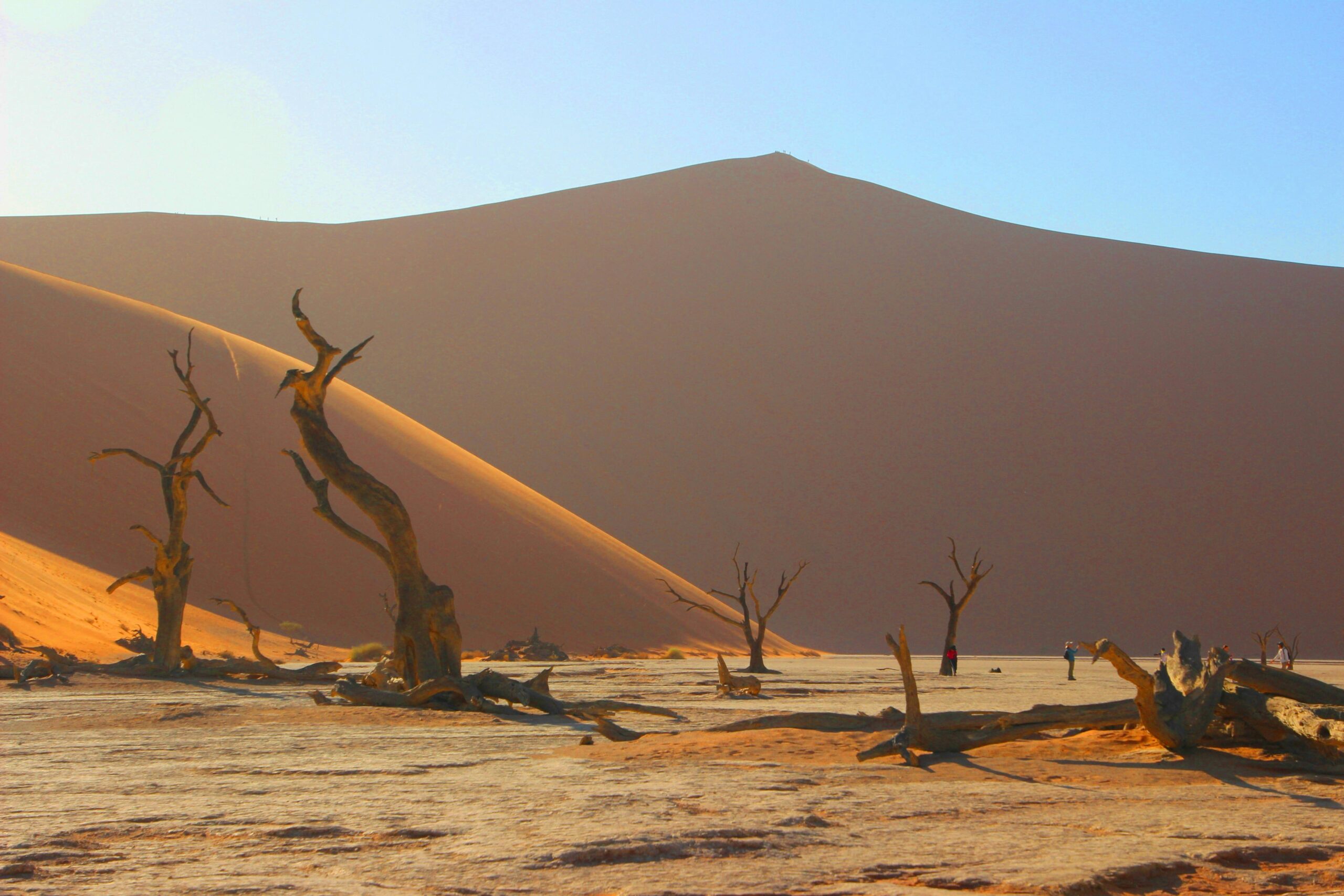 sossusvlei dune tour price