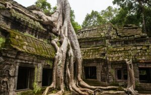 tonle sap floating village tour price