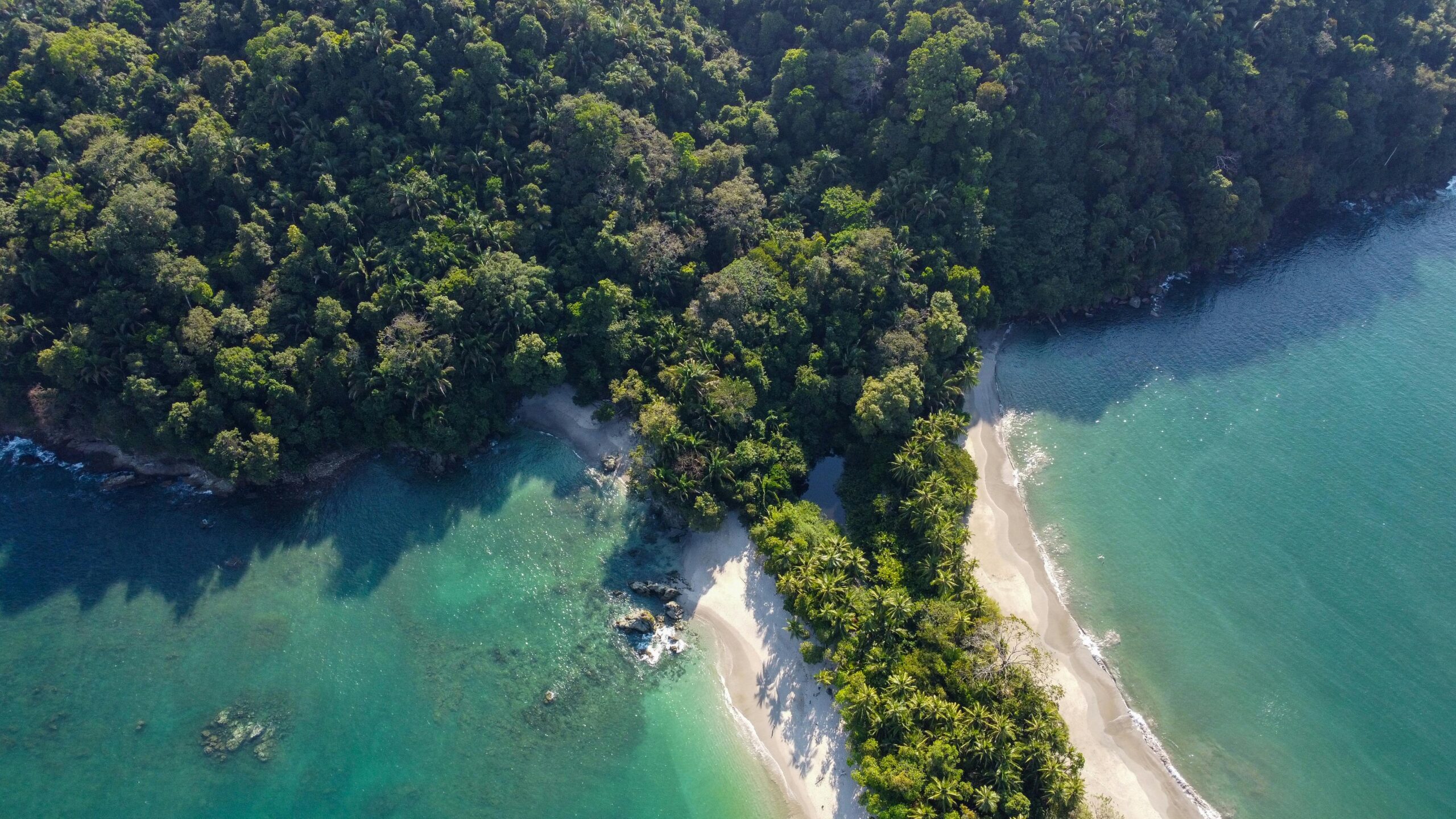 manuel antonio national park tickets price