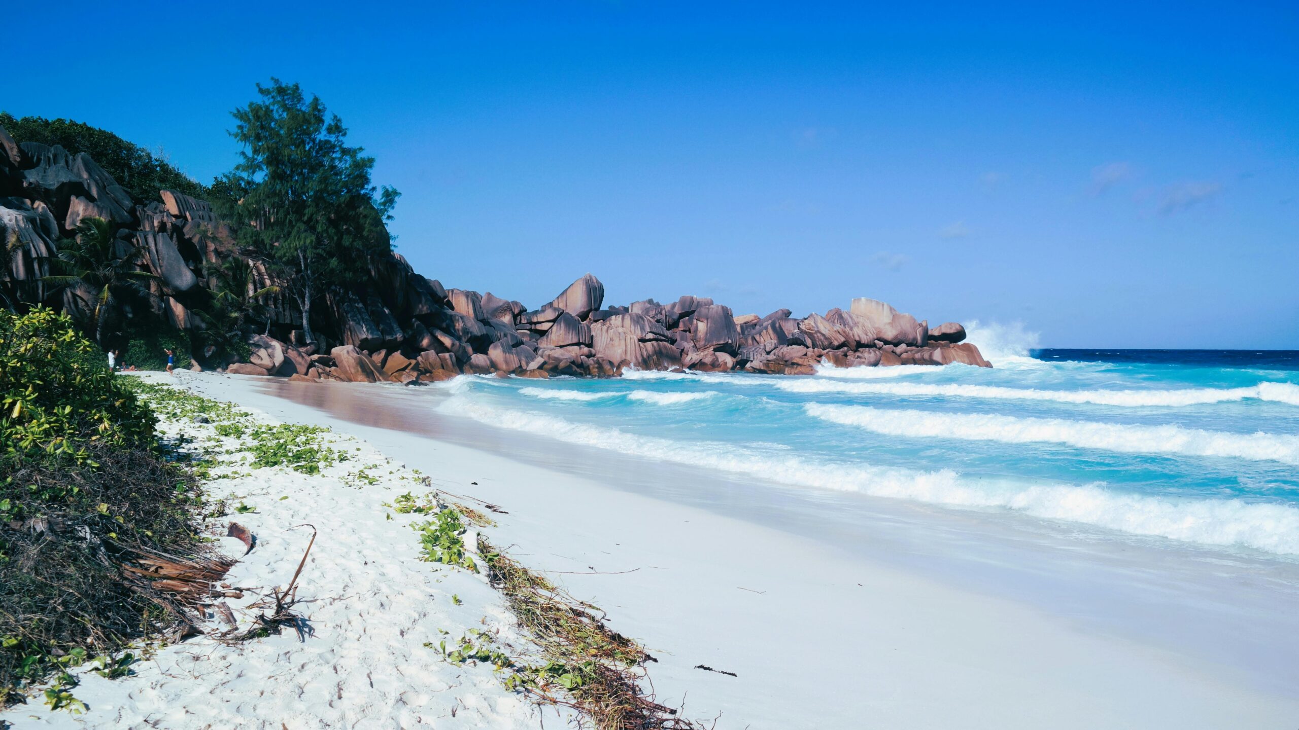 praslin island hotels