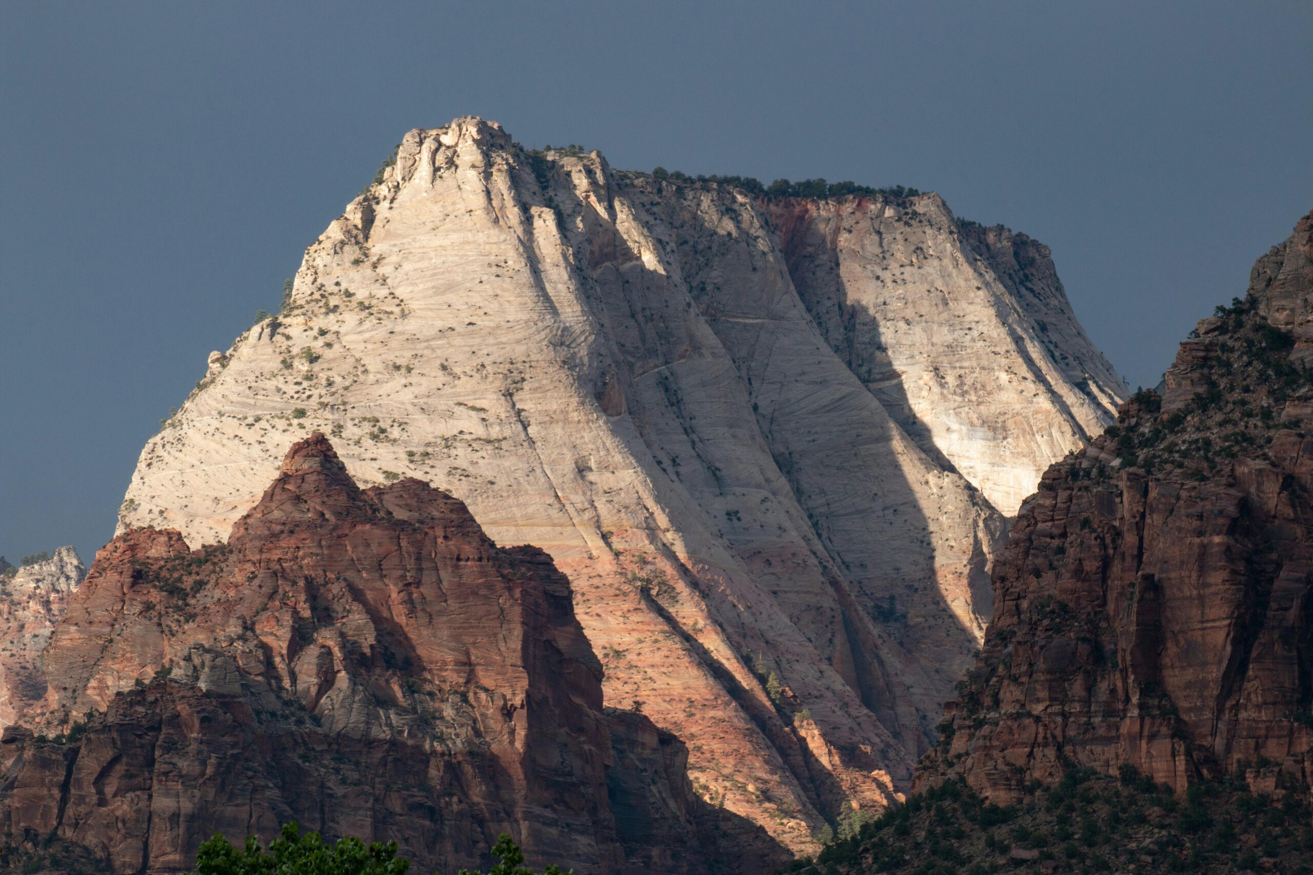 zion national park tour price