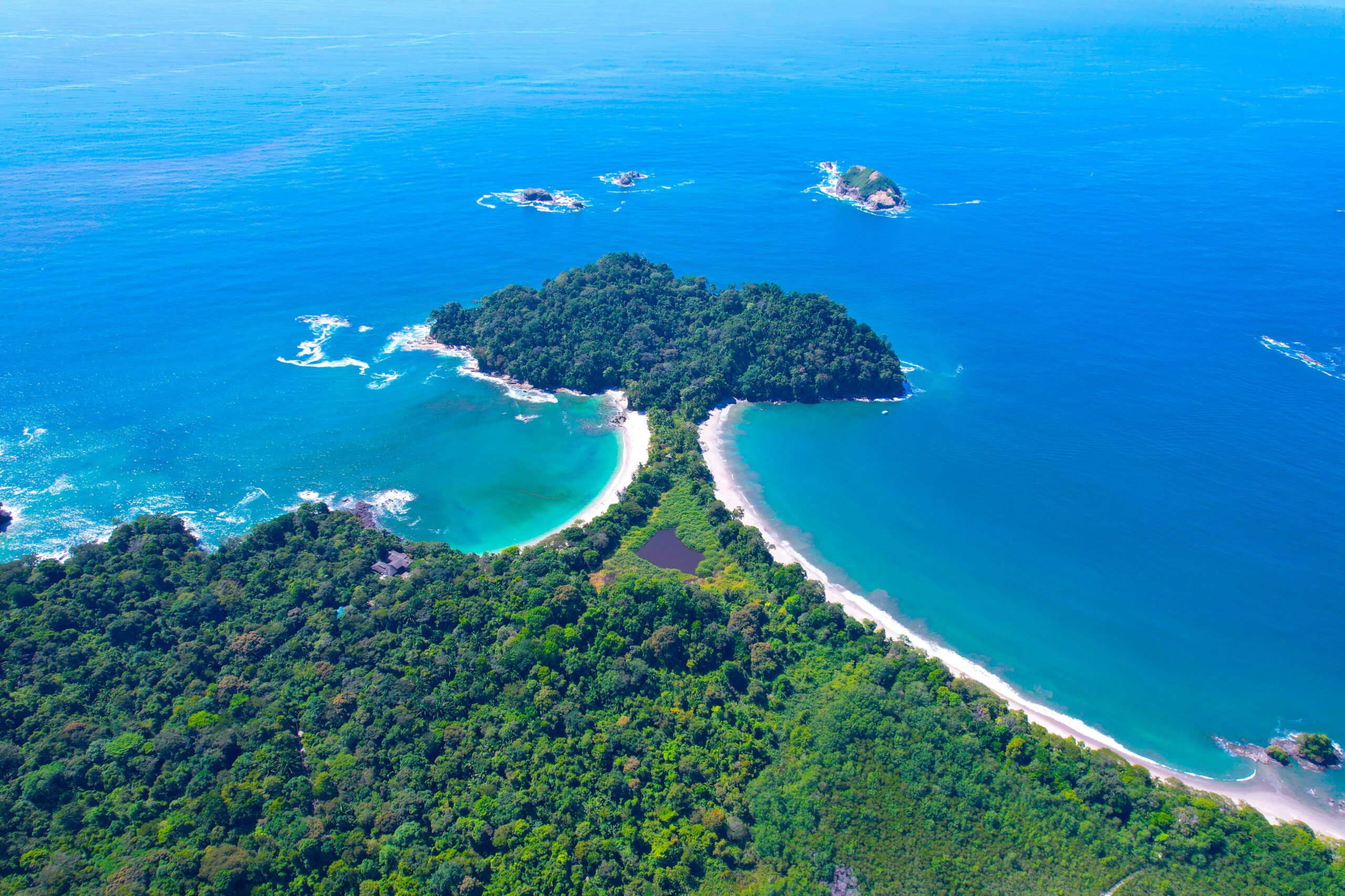 manuel antonio wildlife tour price