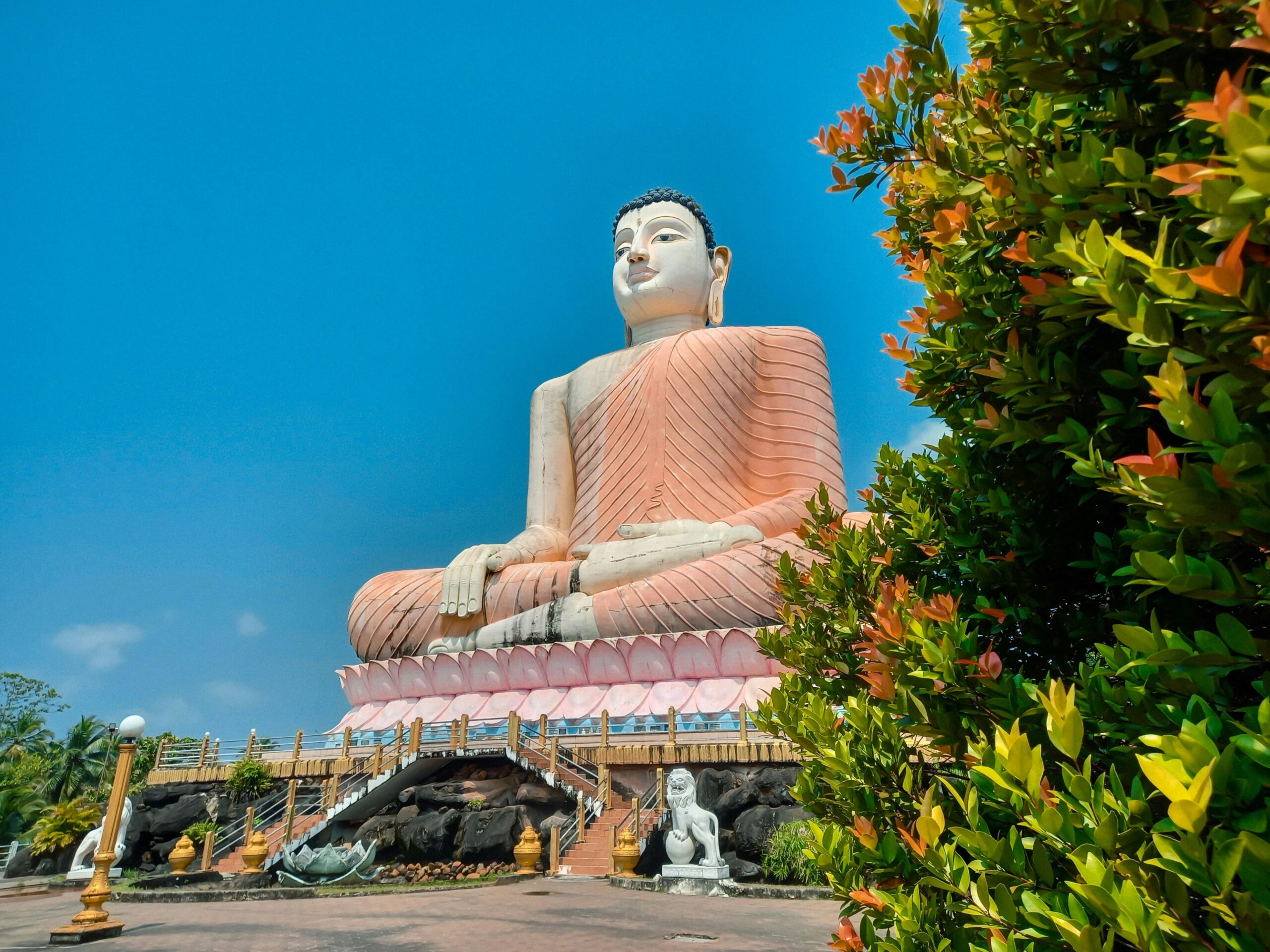 bentota water sports price