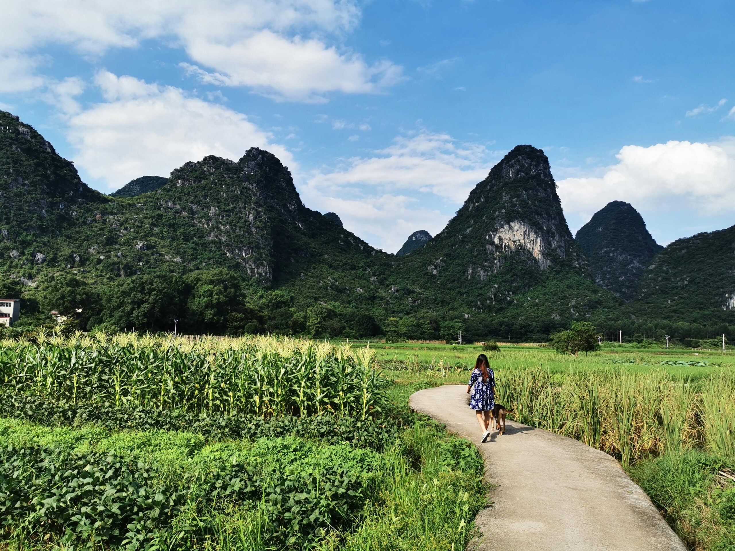 li river cruise price