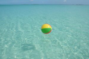 bahamas swimming pigs tour price